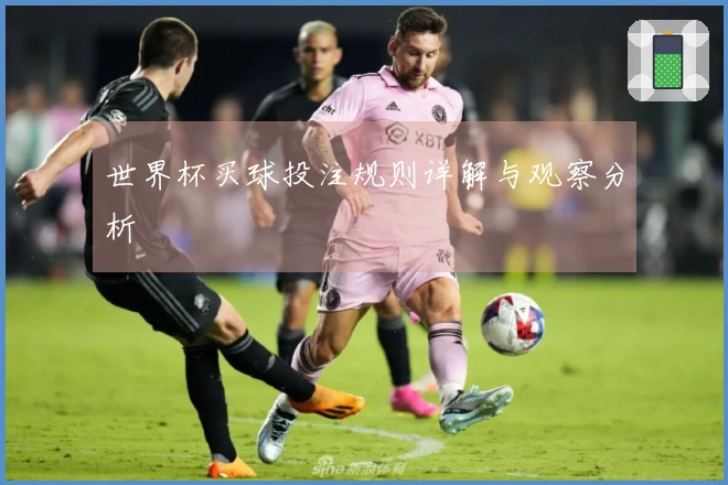 世界杯买球投注规则详解与观察分析