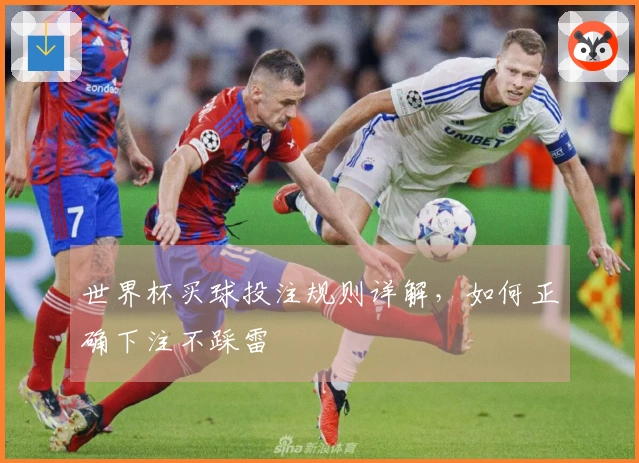 世界杯买球投注规则详解，如何正确下注不踩雷