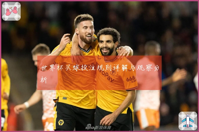 世界杯买球投注规则详解与观察分析