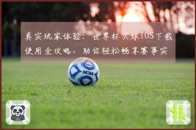 真实玩家体验：世界杯买球iOS下载使用全攻略，助你轻松畅享赛事实况
