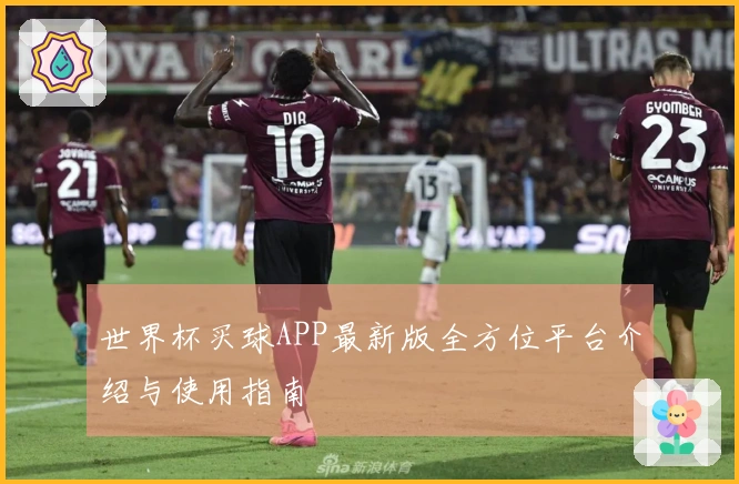 世界杯买球APP最新版全方位平台介绍与使用指南