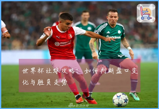 世界杯让球攻略：如何判断盘口变化与胜负走势