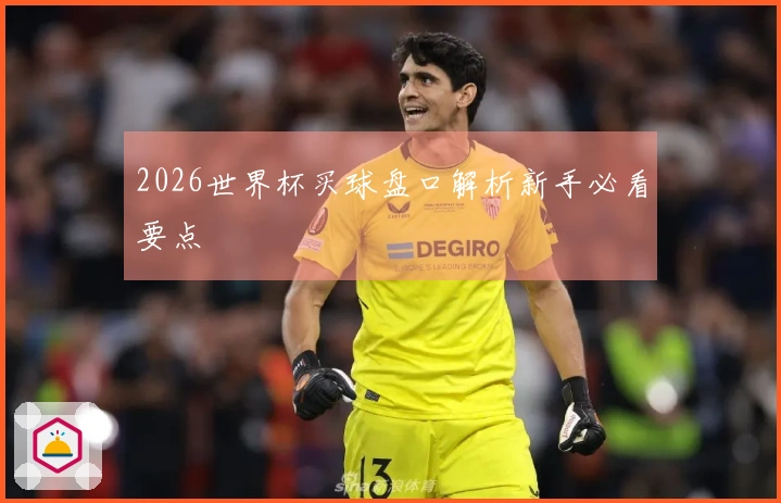 2026世界杯买球盘口解析新手必看要点