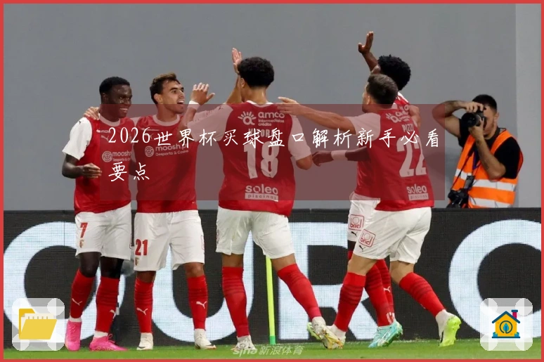 2026世界杯买球盘口解析新手必看要点
