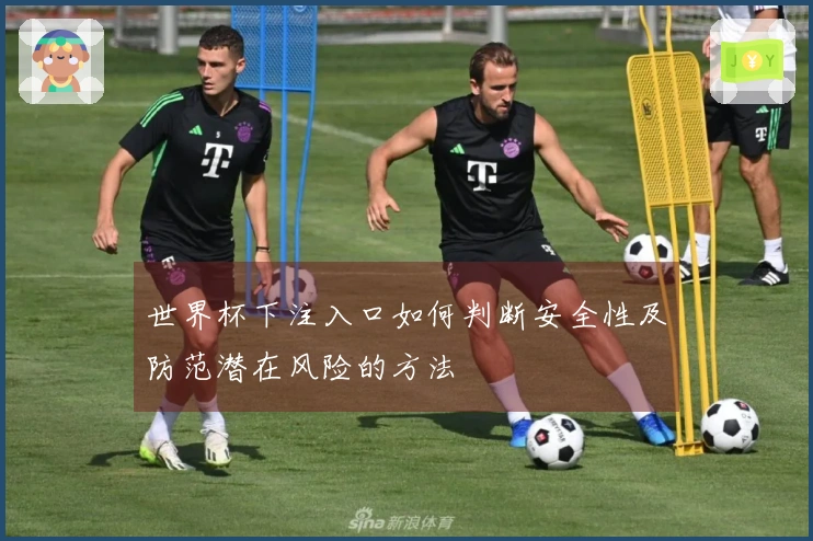 世界杯下注入口如何判断安全性及防范潜在风险的方法