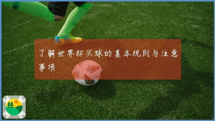 了解世界杯买球的基本规则与注意事项