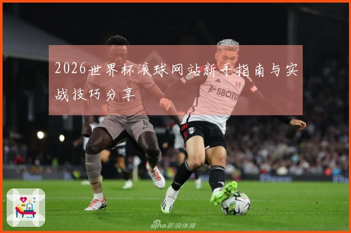 2026世界杯滚球网站新手指南与实战技巧分享