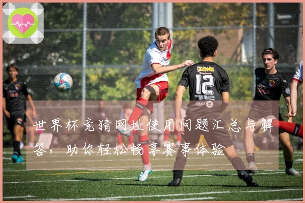 世界杯竞猜网址使用问题汇总与解答,助你轻松畅享赛事体验