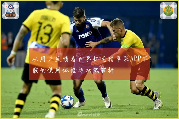 从用户反馈看世界杯竞猜苹果APP下载的使用体验与功能解析