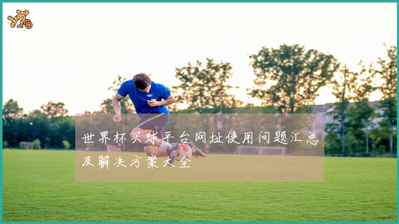世界杯买球平台网址使用问题汇总及解决方案大全