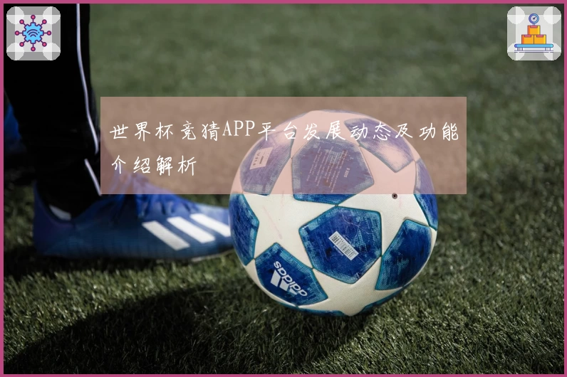 世界杯竞猜APP平台发展动态及功能介绍解析